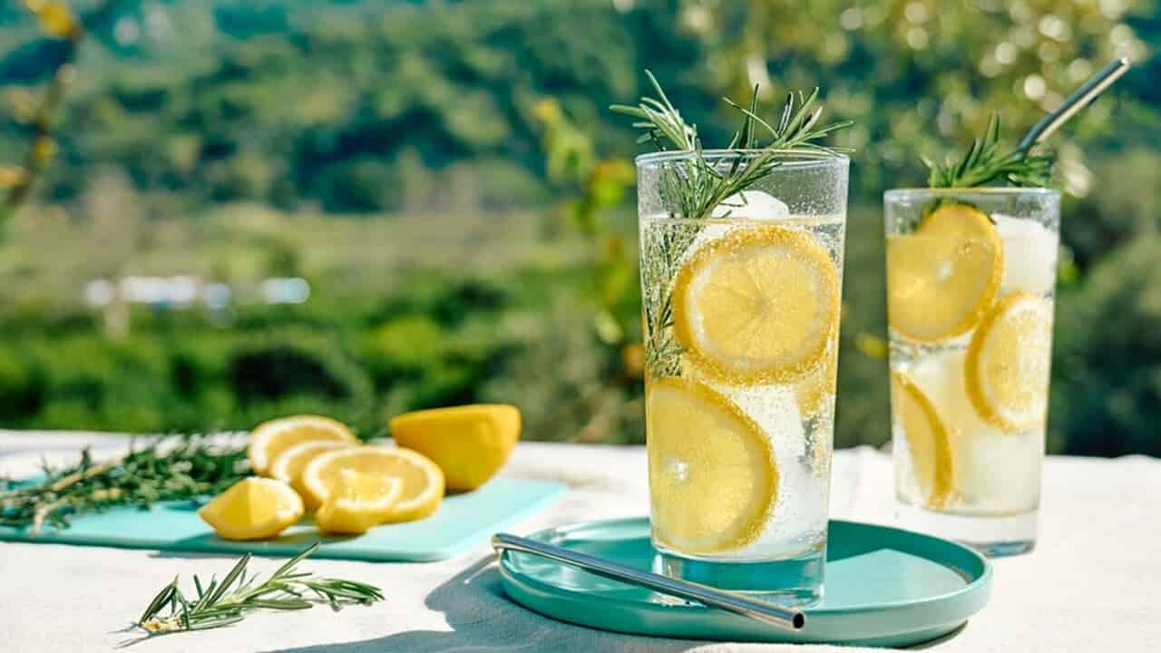 تصویر 4 از لیمو ترش ممتاز چاشنی طلایی هر سفره ایرانی